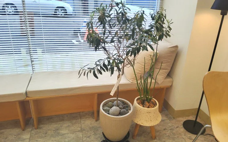 %EB%B6%80%EC%B2%9C%EB%B9%84%EA%B1%B4_%284%29.jpg?type=w1200