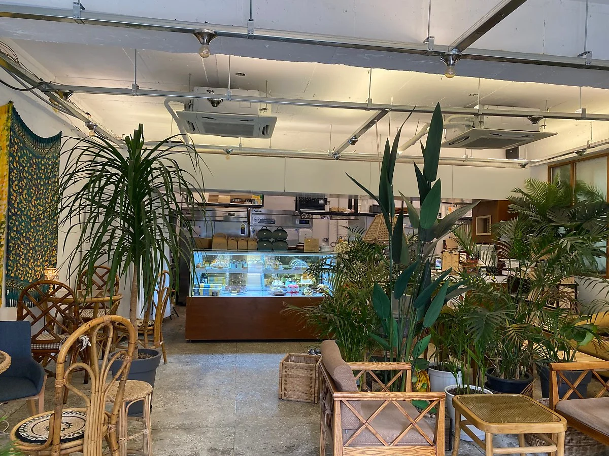 %EB%B9%84%EA%B1%B4%EB%B2%A0%EC%9D%B4%EC%BB%A4%EB%A6%AC_%283%29.jpeg?type=w1200