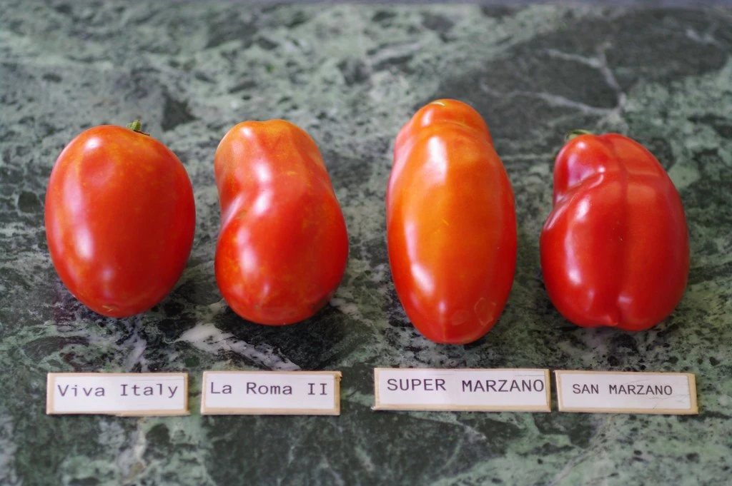 Flickr florador.jpeg