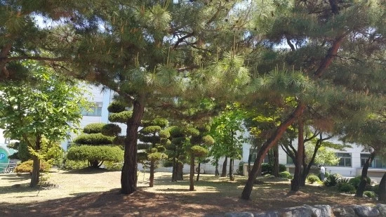 %EB%9C%B0%EC%97%90%EB%8A%94_%EC%9D%B8%EC%A0%81_%EC%97%86%EA%B3%A02.jpg?type=w2