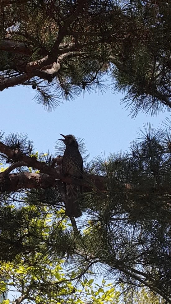 %EB%9C%B0%EC%97%90%EB%8A%94_%EC%9D%B8%EC%A0%81_%EC%97%86%EA%B3%A01.jpg?type=w2