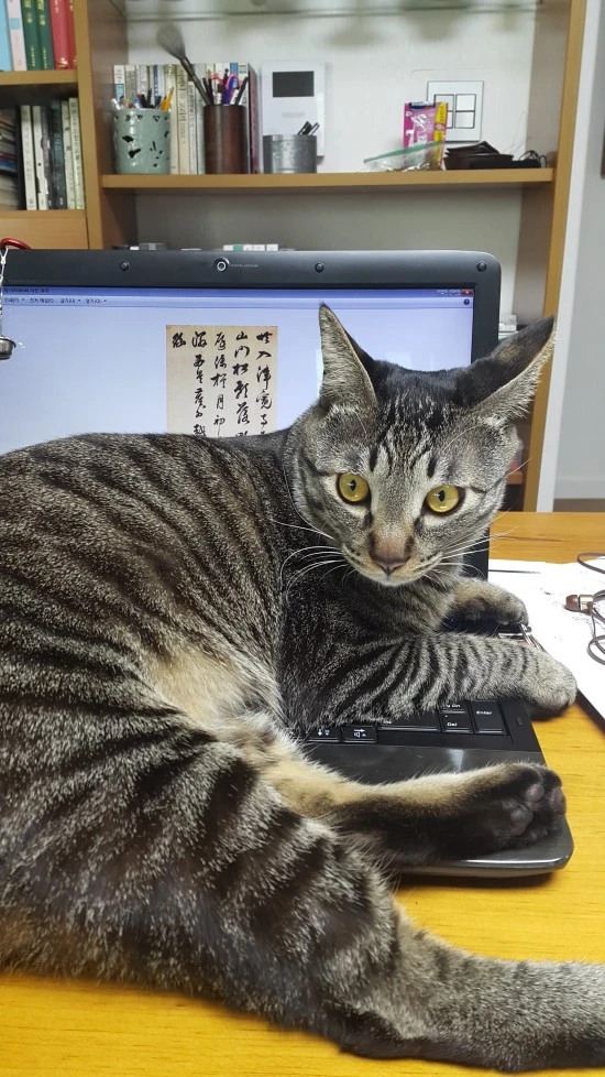 %EB%9C%B0%EC%97%90%EB%8A%94_%EC%9D%B8%EC%A0%81_%EC%97%86%EA%B3%A03.jpg?type=w2