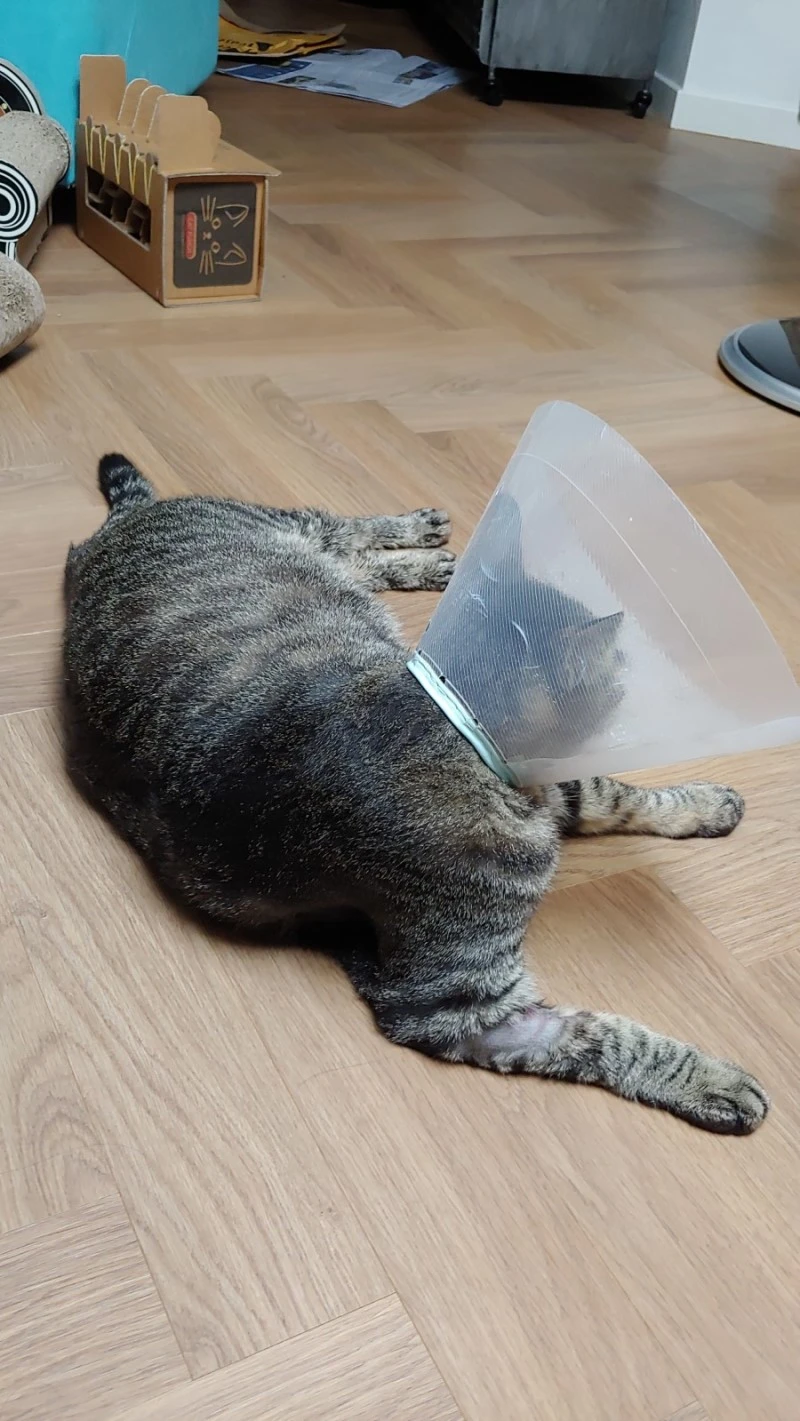 20190720_020053.jpg?type=w800