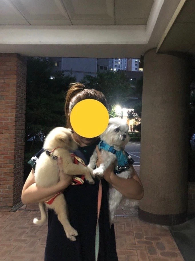 계시키 산책일기12.jpeg