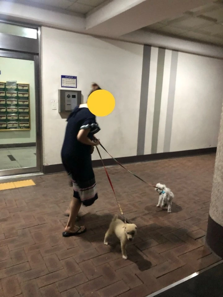 계시키 산책일기11.jpeg