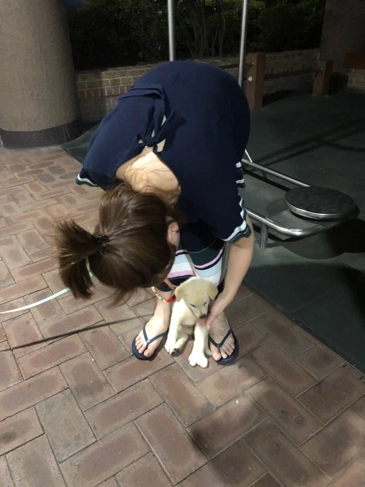 계시키 산책일기10.jpeg