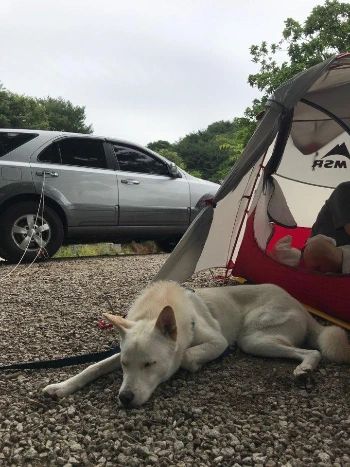 계시키 산책일기16.jpeg