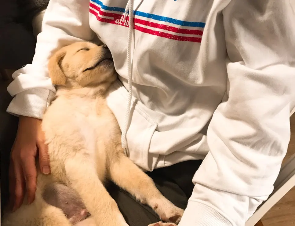 SE-c9753364-4f95-4e43-9fb2-3bce4ce8b4aa.jpg?type=w966