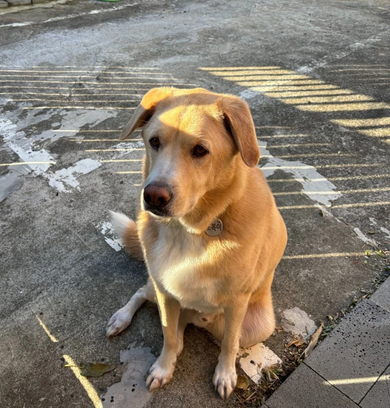 SE-d7a5deea-0fdc-43a7-a8a7-56128dc39a5e.jpg?type=w773