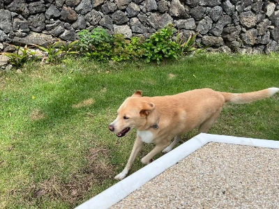 IMG_0261.JPG?type=w966