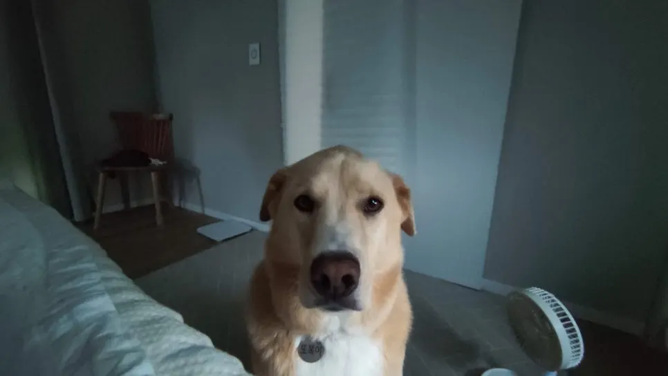 IMG_20230905_073128.jpg?type=w966