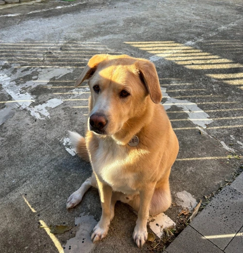 SE-d7a5deea-0fdc-43a7-a8a7-56128dc39a5e.jpg?type=w966