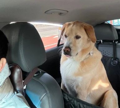 SE-d49de295-83c8-4842-afa7-31301fc49047.jpg?type=w386