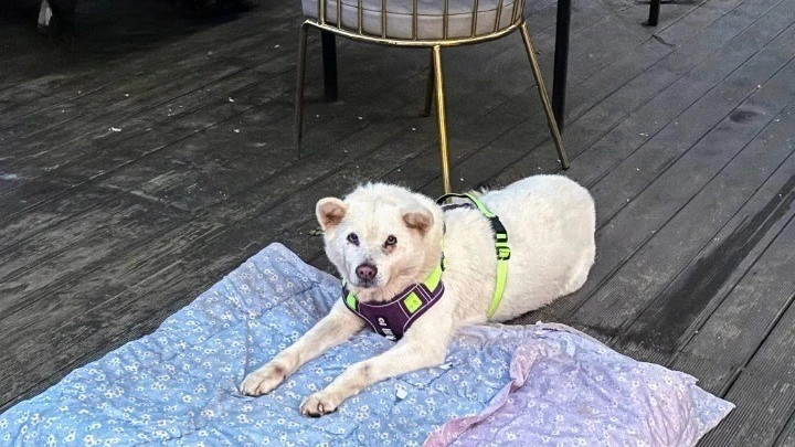 IMG_2268-EDIT (1).jpeg