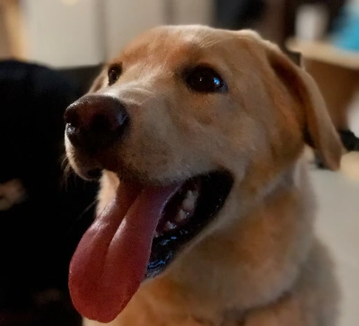 SE-e4dcce7f-298a-4f9d-a387-cba57316cb0d.jpg?type=w966