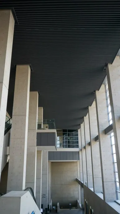 DSC02703.JPG?type=w386