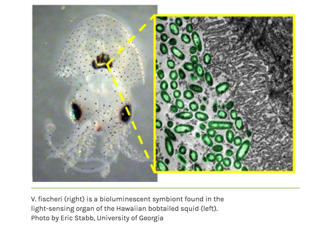 6l2facuT68pa3Ebu-EyeUxqZiHAVN1sA1TH7cEzjumF_b6aJcljSHa4EYOqLlS2wwLpaEkgtwpi-8JxCCv_Vy4qpBDPEYNMEvjAUOrCetmQqWYl8G1kat_2-Ixk23S-uXbR43afI
