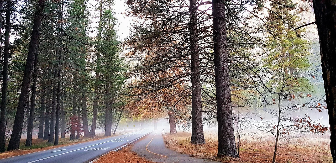 3RtZZokcWneECBlswzYpi3KEaXQ4vnf7tt9LrXb7L-MVe0Mb9Hl4aYZVFXem-fK3yRC9o992QkWYnR42xGeM0cvmEGA52Su9uYB_RcdhACCsQExmJA6pWO51T7UwFKd71thA7eh6iJbxm5hkl8TavIFiXK1JBSgl_svYX-SyHBuDc0XJzY7-Uel_y9cWU3MI8j1yFyHUPPXl_dAafANFadY2D1yEJLSNqAWLBW6TETzcfY5oza_-ix4b3SpS01szy6rGGXSooVvmvta30oHhHFFHPx5OUqvxTKT6yfggnPWUGe0vd4rwHwkggsKFFFNU2T5MmcaXX7iF44ybXxTxac5ZBaMi0ZvBezt6Qpc0iK0tUj80ubcNLKselbmJMkbTghuyE4E74I233hSNgsFbhYaKoOD4XFiBtDOwepaX-TCvUU0gNFpebZeBfkcEDY7bCSEicur4ppXgrmZ1qaQgqXnSs-K088UIli9MD9b1LQfm8AUIgcrFy6bKO0OzbGTmosb2UqJuKXMZDWKXW0VjNfz9d8XbYQxenpfyx5Ew0XerVkKs8qbL8Ehi5Tnv3qEsWXsffSJLdpCbXygN-vpNtqAgs4vHLrn68y3mFMQO7wcVqGEnIjRKskb0v6FnSlYabbU2Za0HO4DXn64mpdjex6tGhw=w1840-h896-no