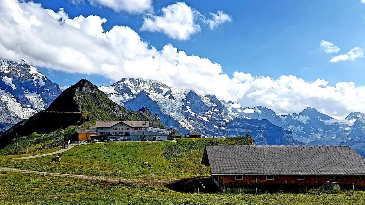 Mx5GOVGPVNZQXzSNyL687bd932-6-qOuIWsdTRvOTraGhP25R4tOwkm0e6jh1ZAFVOhohfUV7AWZrcz6AS1HSg3QPRcd3tT5td-rG8ELNJlGOgn_oDshPLCocapuR2EGFgXH7vu2CIkeTMWBXk2dDl0Lv5hbcjAzh-zRcZl3Fvn60QYLts3bFAIMKbGRDaj-JDloAdI6Hz3V7LJwknqhcSg9VVKPlxq7CqZmN6Ir7XCvacN8sQVFty8kC-Y-EoDdhsyOdm1it8bYejoKeyjZjUFTWGaeUyKZJxWzjaTwMMvOkZK85fbt5L656HKkspGfDBODypbrQuctPDTUmjNzbWkKY3m6W_Sj7BDkr11Fi22UoAtFODtXl4wILMQAoRMArkMkfFJN1Eu6Apm-Ri0bbHKoj5vCLvGi9tRkasfzs44i1GJ4cwMyYpkqRlh7ZuSEMr43z4z4LPehq02QzHP-A_PyYy8HW-_GPTFE7Up9unvF0nBoZOQgiYsldV-sjSQ7JlsIzsNnlDJmdq5ZtTmDOLkH72RjpoKe20ugQcHV9pdvmC7kEEefXqyNnzO8OIfK6fpTdmzjNzy0T2LfnB-xd0WCC0ExSSmbeGzGKdoX0O4d7S8s22WeR9elan3TGGRXyqeCryShBYu_X3EWlEICQnmXJQ=w1840-h1036-no