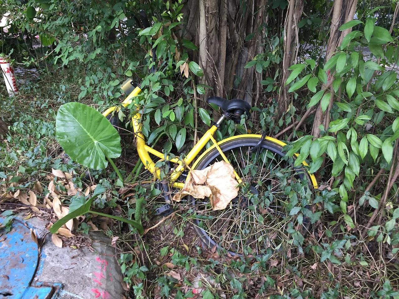 qyxqB0S0BiI_qTuq40WCsfv78kwrPX11B9HC9J9IV6Z6ZgFxcWLRqC-AuboatlvzVLvSsruRiedHqoRzZhz8HkeO3GOe5_d3DsYFw4dAWT5TpmFRGQjSUigYSlJ28zVzlwEW2pRBYxecMOpa2d1RY6YDGfu6CtZztoEAtye5kDk5V6ehJkxrkTiLNpXx-F4djUQlbsmvFlhper3VubhUaioPmLYjEB92QDT3FYrKJcVkT1rzRkgE1-qeWkD1N4f-cTjv1hGcBVzIrDGEuqPn4AXYAQ0EeqDi2NX4yIMm0gd4OhG0N6NFyyi_UsvjgwdH8PTZdHCvUiEZ7ZLTbdMK5BI5IPi3lkHOPrfjMUHh4QHES-ms3Mt_IxrmSvmVnEbKxcbYWLMB4pNxsXugsNx4q_dhDenun-cRZAANqRlYm9MO-Nz2aLrq8ko5MXmV74TThvl6T3oeM_7vGxoD3GogCnDAF6THD554_HkX9pOpaiWQyJxqKilH8CYjZ5Rd2T3gC_agRdW6rGPIB-9RIPoWY6LbCIb9ilXYA4dwEE0bU_Tm36wkyKnVumZh_3uzznwOxDc74Yd5IN_Oho4K5-LlUE81E8P07zOKF0BFSTCkAO46BqwKPVhBqEdiWyKKLfbxOVppc1H4jPyXg9d-7FoRTZpg=w1430-h1072-no