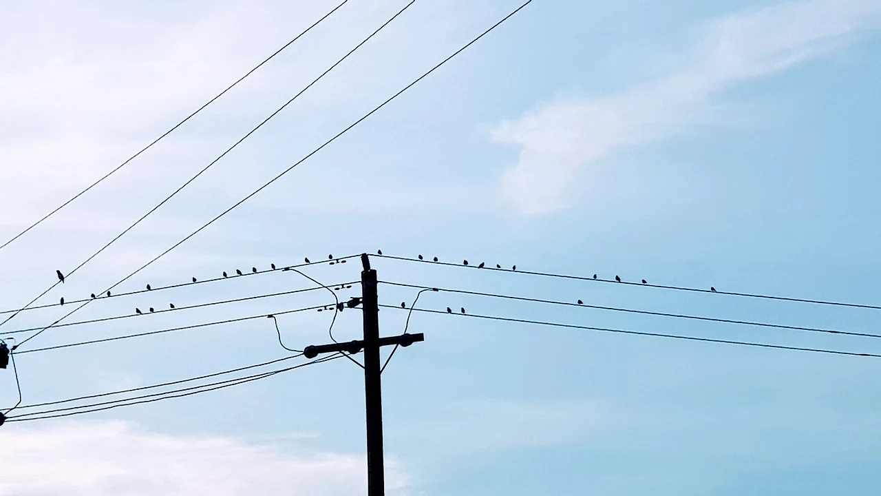 -gIqBW02cuLYm2IgiZMLZ3G2e5u8JfvnBLHtXQXcAAaNWcSkWOkWdVk-9MstLHXc3xqXlwE1o3PPwIovS8-Wx_MqSQDQqaTXwZZ02uIvyQZ79MHsAMrEGOSshL7jMaceBGCnyF0mRNl-BE4QaIs58pkM-cQ7iqWCyMZNBEAOqOq5ZoJyNsW8rwfJpwy41Hbaf6ETTnziHfLt1fw_Ow-1A1vTxPZYcdmM040TsLs4cyam8aO8uDzP1e8kCwU_ZxmDbm3zwIVOcCg4as_84jw1jjEL1LB4RNHz4xlwsGFutv0serZqAXL6zy8s9B3nBU72afZUAo5Wr4382NEYSx2Y5j6y6d5_ujnY2KdIiH1JNfkqPPRYO26RAFw_Sv6xutCNRFHipjtbCdUwTPmJ64lT3qY6L384RnEAbESGAF1BUsZ5jynwB4z2J5Zrn8k9QHGiJgD3pp-c5NBmdhcagdQfwk9X2O3CeDNKv0KsvxT0sq5to-CYiwj5o8dVV7dyuAqBn30Pf9v3bmJmbN6_gZQG9USnskPy2SC3-NKqe0GoufTrKESTyB5TzEQ22PsLVR6E-ZQ2pYlWvv2DeObke3p7MQDScUBXof-uB4ePGmbZ9soQkZjGZ1qxFMTq3qrbj0ZoidyE4LF_ONO3N5le4ux5rkApkw=w1840-h1036-no