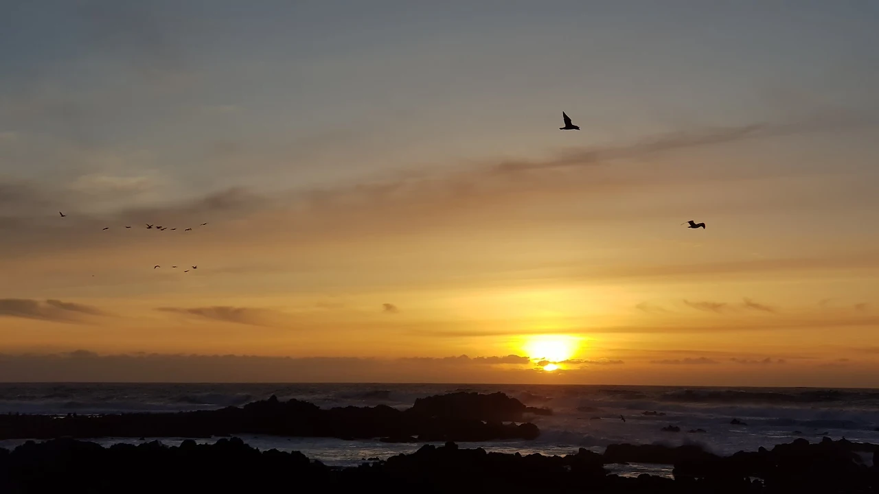 vYLw4lHwzqkdg2dcXlsUCBsmKfs4cmPP2kFuDGeBFwlGxjgwnszuos75R7GGS3d51Sl4iB84l5-jbreEd1m26p2u8qUPezI37cFKVehlc8VdGz99OHBE1IvXOlAa93ALESIZikDmoGMA32cUjaKUtxqw1X6PI2gpm1kbd_Xn2r_vAleg2eS0PObA6zQuVBD-A7VowilTz2yBB-ztU4VdK-pCi-HqnP3AeKj2TSYqWx0EVz5IsJPypNC0rfQe84xfupvXO5Ic0u6Y_2mBYzBaFAXgEYdixad5s1a-FdwqYPeArqQ-HjtJDgXW5PMRop48D3MRgO1H8IIDvhCbBOiHabii3wCiI3BISBqhpipTkIwUt-mA2Piwq09AwxjYfwWSKMrI2-LZdTmAXpcTNELex4tJxBKmI3vdN2QHj2CRYTfbF6Bj_JTxuPv8iibt65W_M94BUy9_ZNbfSumB76x0Mng35n0hTiaWAgx6VdG82HMyC3QtfIQssaC02o9sm95dKP_bCkpe3vbcInX84oAwDwd9-n1xj6LBAecXvkReXXkIpKwP8Pfh5acmLLUM0JtStveDCVYpSZeB3qaUikOS4DvD3IKpd_i6-OW0nl0VLzvqKqhBtd9K0UpTt2cqe1_mjvCqg7VNLfMzDfqmrhrTNCcfdQ=w1840-h1036-no