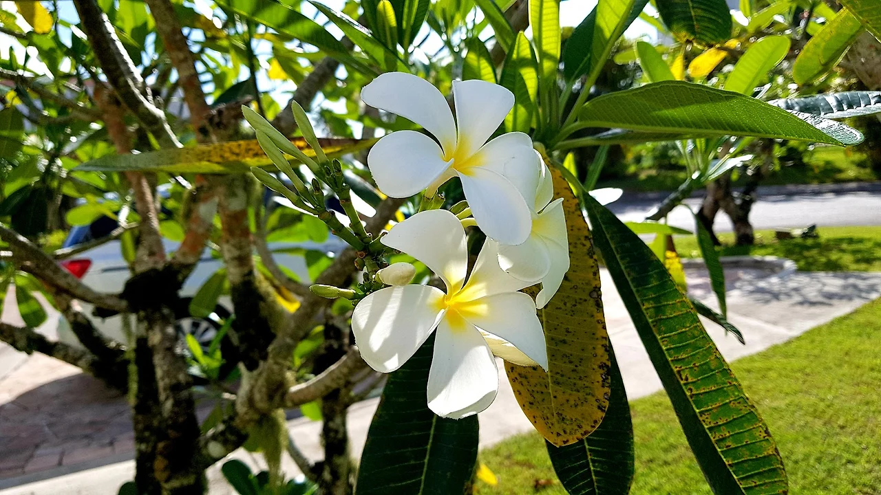 5-yfn-A6ObHkYCWcKYxFr7p0E2PseHk31D4Z1sI-a872rsUPQnyCUkE-8hioneVq_XqI2kI_ogyoZLvgTv_yFnlOFFRVEnOt_QJb5zQpVsoidEw1wzzsUkiR-HaWUAF8C6-s_oXGFDE0yZm-dzDwguyoWuAuiUsd1iYbpGBpyll_JTJwtLJ4DYIxV5hr0c2EecRTeVcPXi9Nk1zv1Oip0ffd5a_H-XEO01ZI3aHpYMGICZT9cD5LAX0DSBOeFCeIOxH2tEVoZWFx-4kns-zldETWZqMFL1yhI2MCqkOI76ipl-0tb_xu1Y94GAttV1chVYQ-vEDLItNO6VhgBHe4LJtDuLz2K4VSO2GZAy22bvf77Oo2C7orX1iG47JyT1vNuWVG1mOZwbUOYb7AlO-HA-iQ4qYeXd1ETAxpRsTS2QuZE5JxCim64i9TQQjD7RKmNHb1jxj-AH-3ks21rIi-KFU5PeTz5naGa0C1aeRX7V0jFaC9l2LT76SukOcWT74jkLJtritbUayOcQlPaw6A6C8bwPU7Jh7IH4XrwNmVASp62EjyHfbPhkuG_cWaMli56zyvgyYxctN5n8kSjRVfrDSs4hRATcW6StwIQvyoWLdTb8ije4eyW1PenMR-d1tiDUo31XLR4ugVWavNLTTFdjGWIQ=w1840-h1036-no