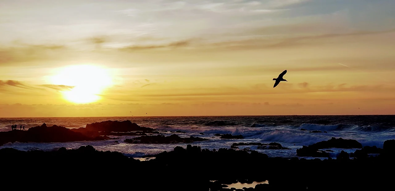 29DqFH9hSpgIzE9StGhQRKFpMTC69Ax_sthB6dMC8Ocbihuro-FdgoTHVh1ft81LcQayeMYFoUSyrobkBn8ppmDdfljt5oD9WSQjX5tIp8S6V098kloQYxJXJJTKqgFIdLAIgp80zjm5-1rkKQvWEUqbGrivCI0l0VjvdbjNAn6P3RkSDJZB__JNKoC0CnV6e_yqS1N9t2T5JCmPMJenyAwsVH_AuOke1dYcO7IKmAy4YIMO3Sf3dDjXeQdG6Ow9O0DvP63xDJvmhXJei0Ax7ABklw_fWKqWBiRTThy-UsYzTogCMHNZLV1vprce-BCs7LofzpvsBvIVh6dnlSKoME8mVIpGlL1n_lqwlbhxX2ykplAWVenVbNCaRbWXSF-IDKqLRfE54Rigaqk2A7HLgK7YHbEGdhlsUI2jZHb1etxhHqQB_XVhWj2C0Rpx2uJHiFYvA793Iokcyz2V5JmQkrBI5RsVDVvvIErMvqx-VlzUQFE50JsP5GhyxRGwH_0ToIGTfWd_AdVakbRij_Z-HyIia3ZYNQLnU3OVIAHIH0PzoXg7oxzgGgXG78-UwcaFE26LZXb04tVTwPdVjQAuq8v5cg11wpti_0KPdcLpWqf6bxk4XsatMEjmafCeArdqHXLCTHHphjcsWEPyhF9ihcBasg=w1840-h896-no