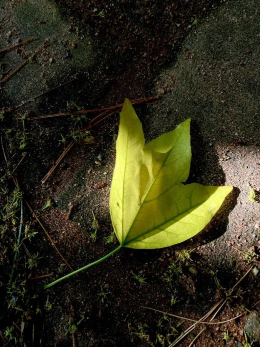 6_bidUd018svc14272uebsnelu_avjrcv.jpeg?type=w520