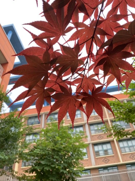 0_2ihUd018svcfpnlt6mkcmal_avjrcv.jpeg?type=w520