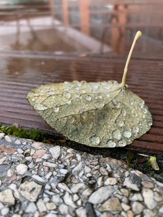 3_f89Ud018svc1nch21mgxj655_61tzgn.jpg?type=w520