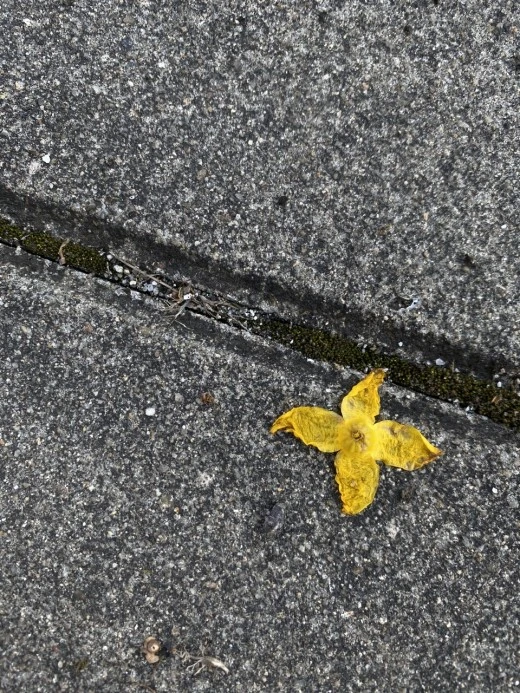 f_4i9Ud018svcok0wc69bq8yw_avjrcv.jpeg?type=w520