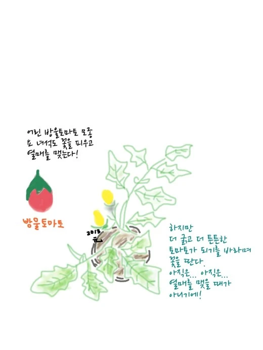 3_117Ud018svc77mvoeonx2vx_avjrcv.jpg?type=w520