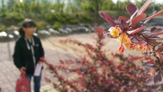 i_ai6Ud018svc1wrea2ke85km6_avjrcv.jpeg?type=w520