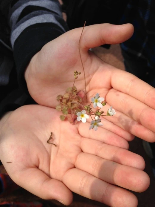 i_9i6Ud018svcoaakuo58wc1x_avjrcv.jpeg?type=w520