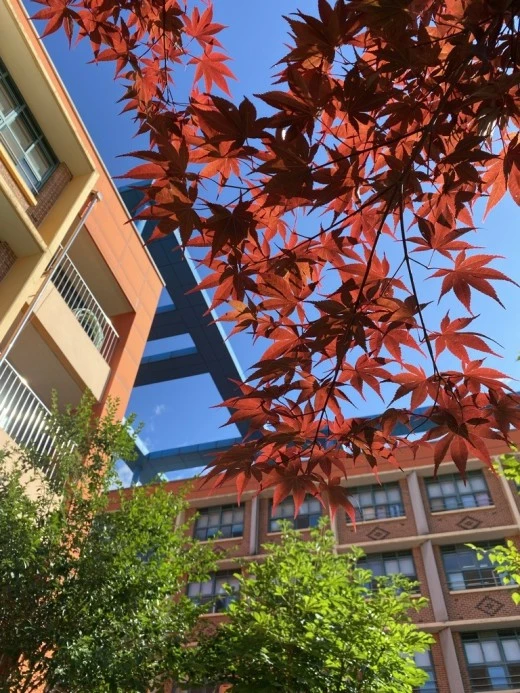 0_3ihUd018svc17s749xchx5sm_avjrcv.jpeg?type=w520