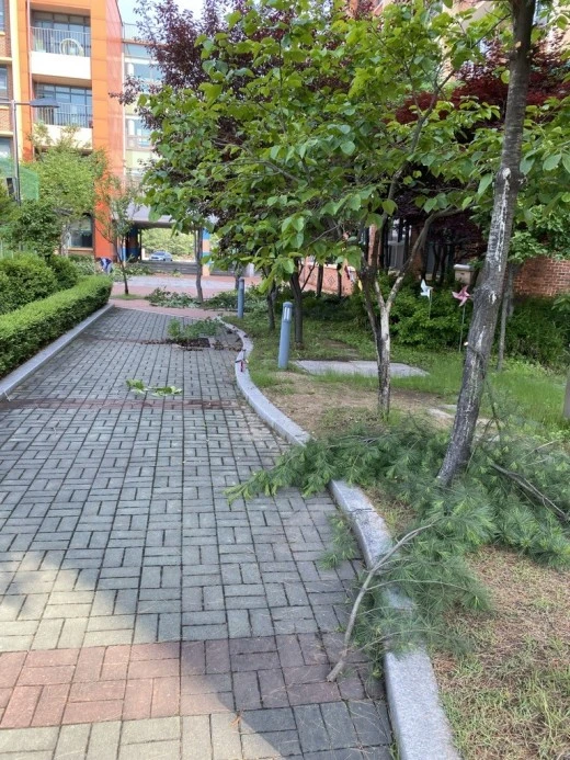 j_gigUd018svckqhldn4s4003_avjrcv.jpeg?type=w520