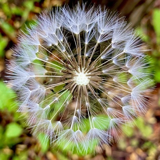 6_cidUd018svc1pmtjik1i273v_avjrcv.jpeg?type=w520