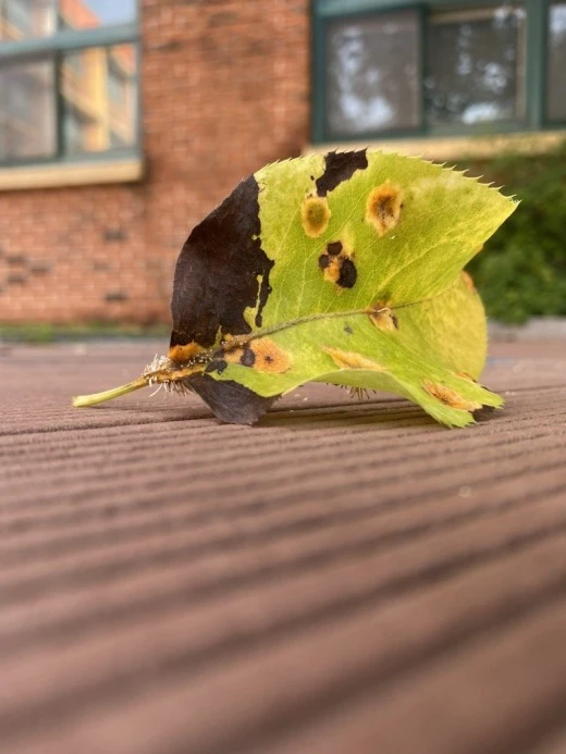 7_hj0Ud018svcn5710zgk37bk_avjrcv.jpeg?type=w520