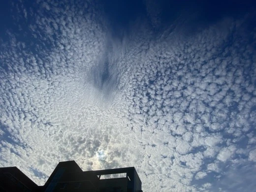 8_9j0Ud018svc1ahjc2x5o3ee1_avjrcv.jpeg?type=w520