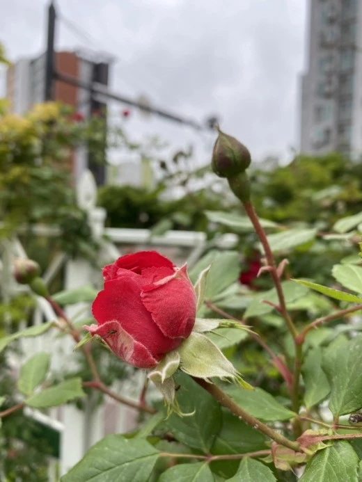 6_didUd018svc16hm3fv7471k1_avjrcv.jpeg?type=w520