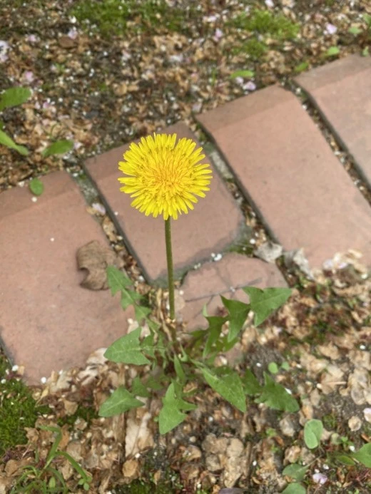 e_giaUd018svc18o0brcur9vlo_avjrcv.jpeg?type=w520