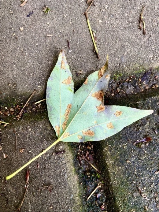 j_figUd018svce47rpfp9uq2l_avjrcv.jpeg?type=w520