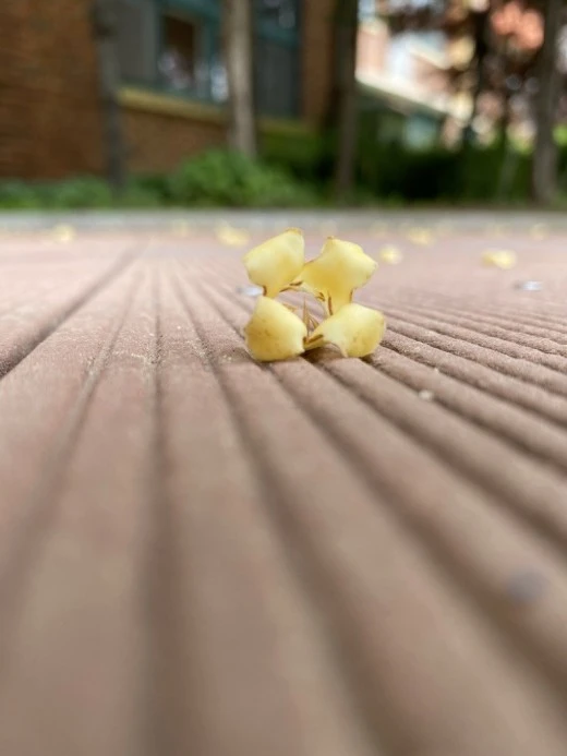 8_5idUd018svccunkanq9fhj3_avjrcv.jpeg?type=w520