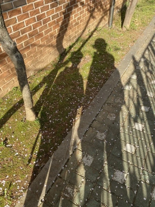 g_gi8Ud018svciialyvbjppc5_avjrcv.jpeg?type=w520