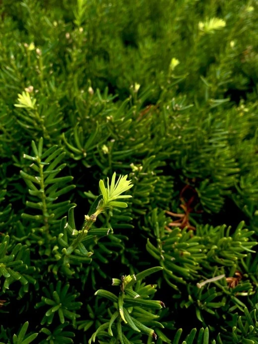 8_2j0Ud018svc3xnrwg4ulhgj_avjrcv.jpeg?type=w520