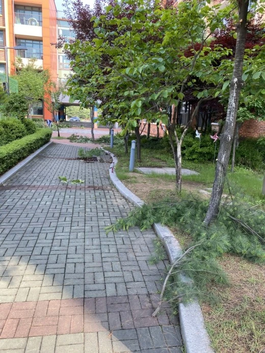 4_j13Ud018svc1spp30de1tyis_avjrcv.jpeg?type=w520