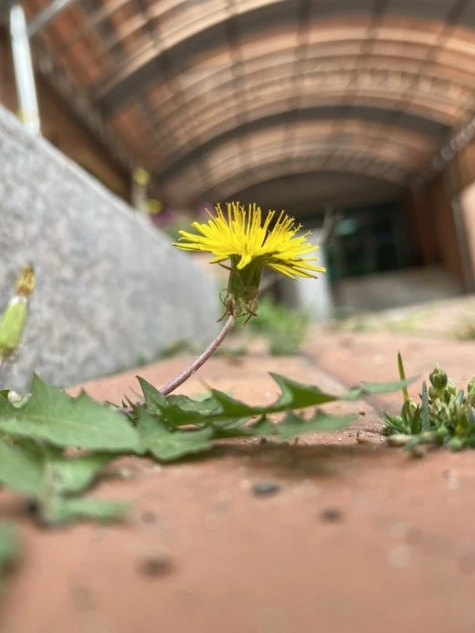 0_4ihUd018svc14mfbcyj23u1w_avjrcv.jpeg?type=w520