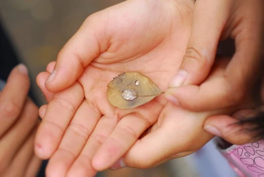 i_6i6Ud018svckzb2tooedrc2_avjrcv.jpeg?type=w520