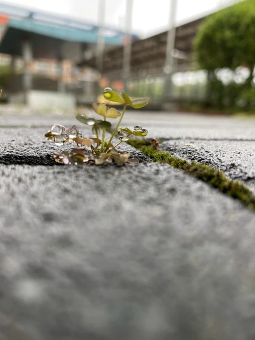 0_5ihUd018svc1h2z4sgmc54rk_avjrcv.jpeg?type=w520